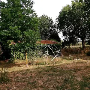 da-pino.it-tuscanyhotel.com/